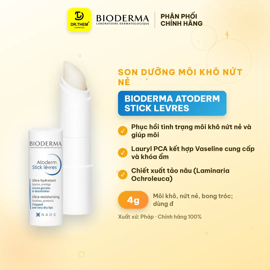Son Dưỡng Môi Bioderma Atoderm Stick Lèvres Bơ Hạt Mỡ Phục Hồi Dưỡng Ẩm Cho Môi Khô Nứt Nẻ 4g
